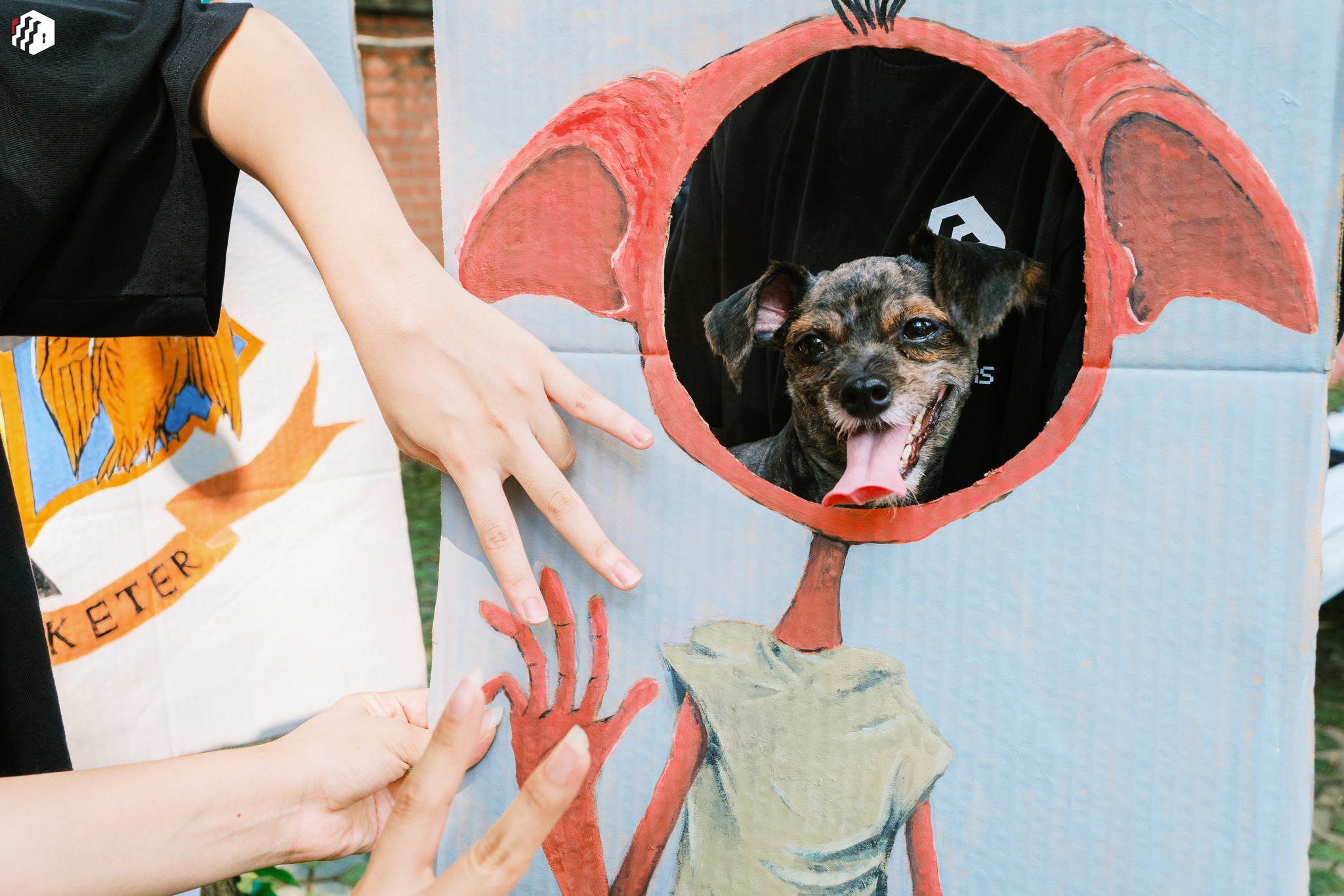 492177048_1170959435043969_4985377300245447930_n